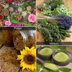 Herb Trimming Tray For Harvest, Orange -Smart Planting Store 12531252cd19db03b6e185b61f1ad1a0