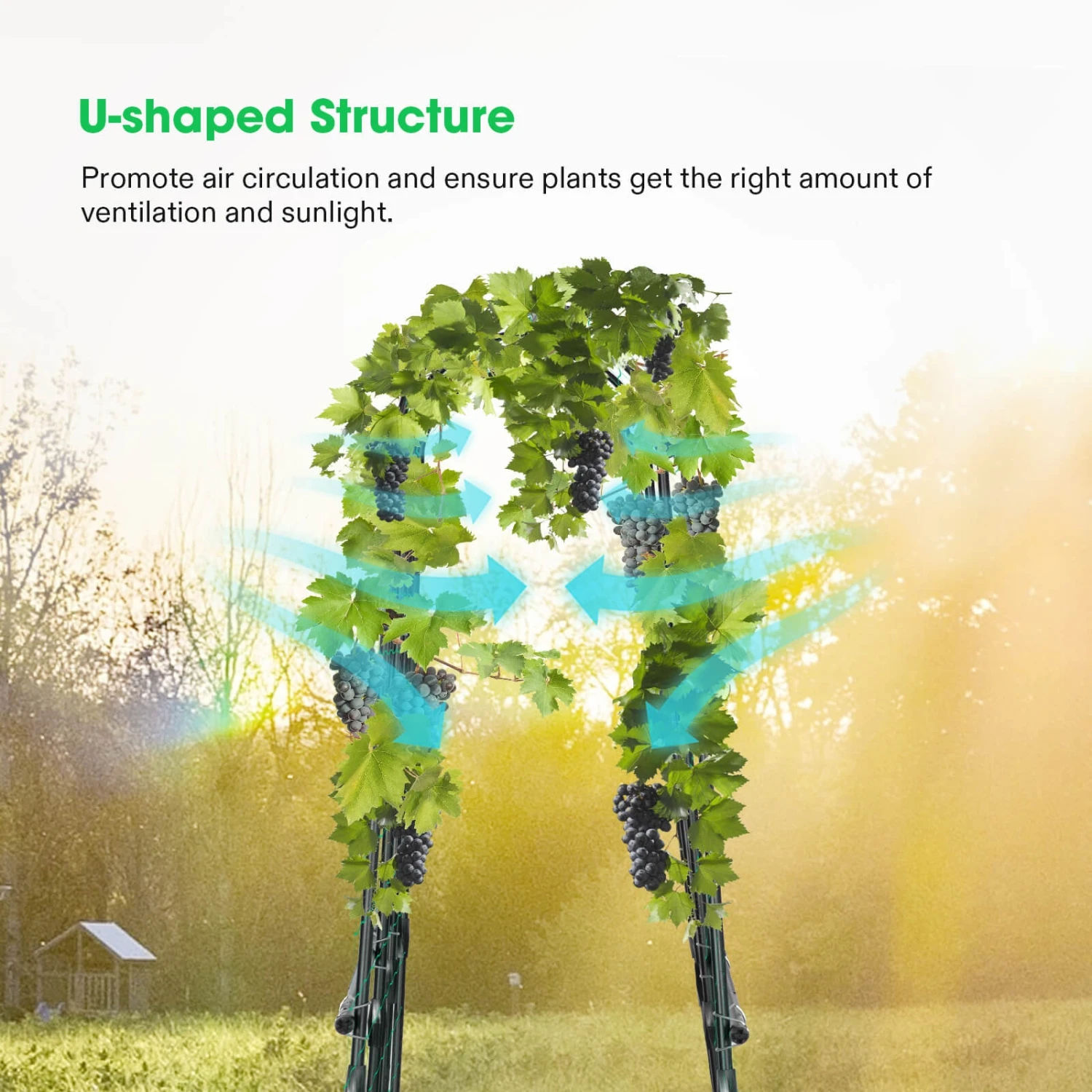 Arch Trellis For Climbing Plants, 7Ft., Black 2 Arch Trellis For Climbing Plants, 7Ft., Black - Image 2