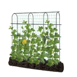 Arch Trellis For Climbing Plants, 6Ft., Black