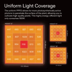 VSX3200 LED Grow Lights, 2 X 4 FT. LED Plant Light With Samsung Diodes 12 VSX3200 LED Grow Lights, 2 X 4 FT. LED Plant Light With Samsung Diodes -Smart Planting Store 56aa3bb7dc827fbc0032f751bbc1be9b