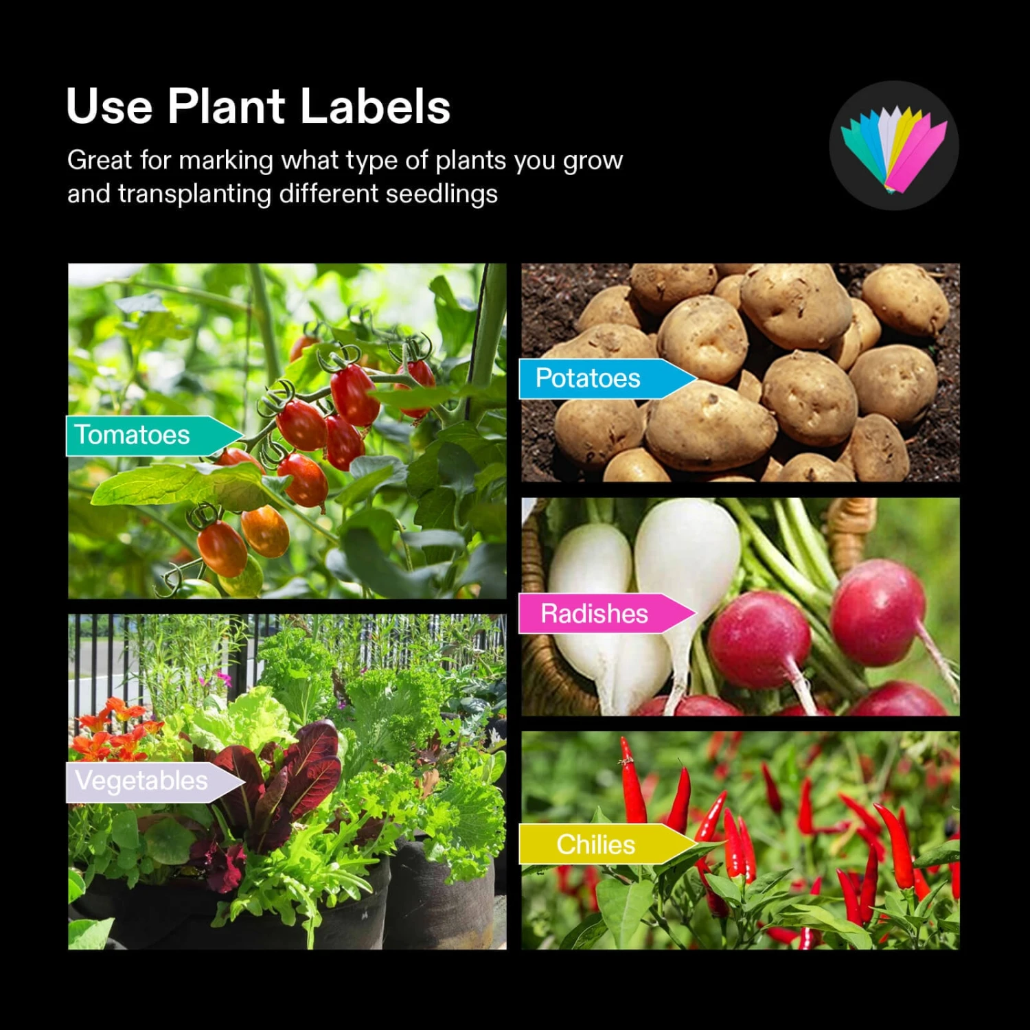 10 Gallon Grow Bags 5-Pack Black Thickened Nonwoven Fabric Pots With Handles, Multi-Purpose Rings 7 10 Gallon Grow Bags 5-Pack Black Thickened Nonwoven Fabric Pots With Handles, Multi-Purpose Rings - Image 7