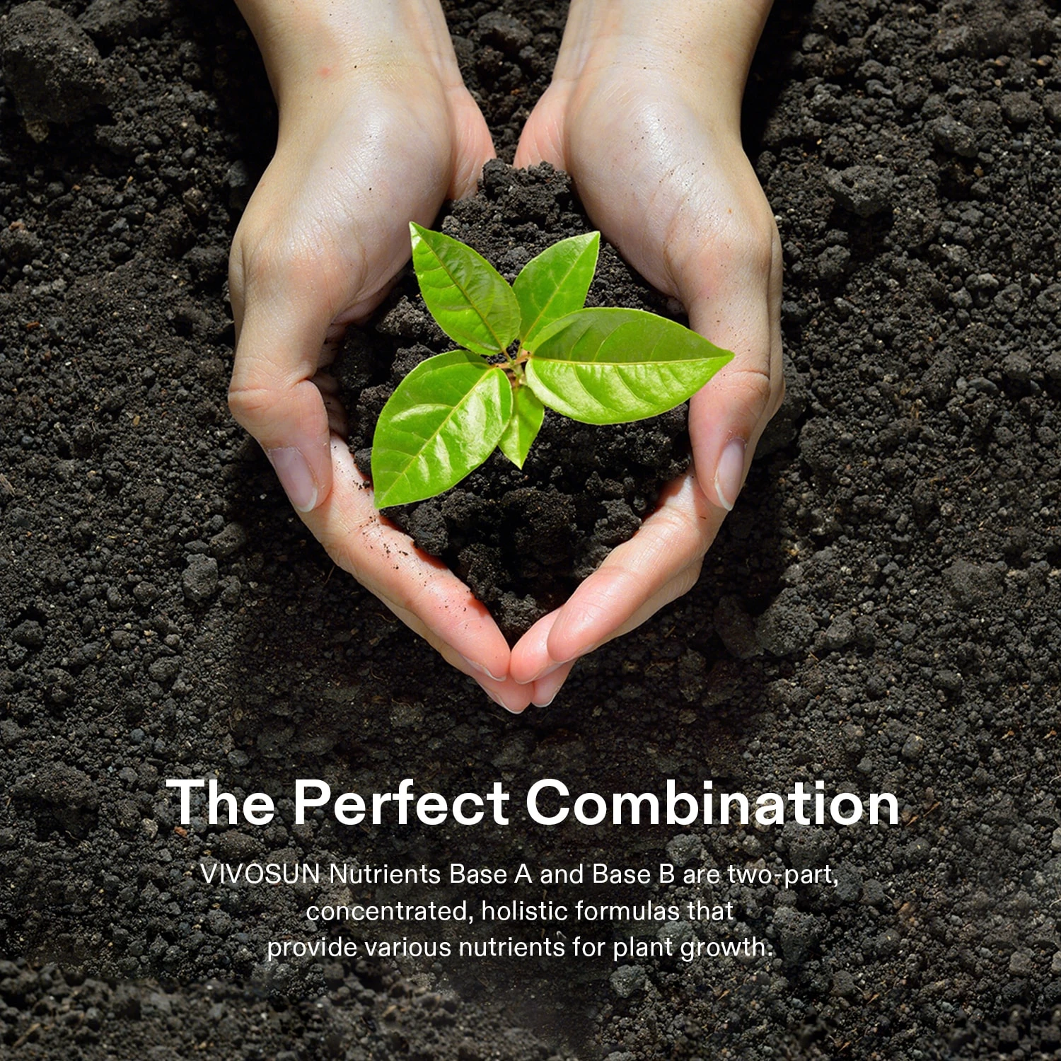 Nutrients Base A & B Bundle, Liquid Fertilizer Supports Vegetative And Flowering Stage 3 Nutrients Base A & B Bundle, Liquid Fertilizer Supports Vegetative And Flowering Stage - Image 3