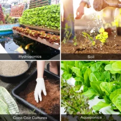 Nutrients Base A & B Bundle, Liquid Fertilizer Supports Vegetative And Flowering Stage 13 Nutrients Base A & B Bundle, Liquid Fertilizer Supports Vegetative And Flowering Stage -Smart Planting Store 9c50a2245fad2bb28c938eded9698d44