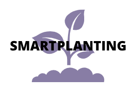 Smart Planting Store