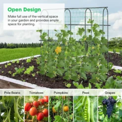 Arch Trellis For Climbing Plants, 6Ft., Black -Smart Planting Store b8f23f56346edf2e9f55723627d8cde8 1