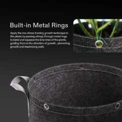 10 Gallon Grow Bags 5-Pack Black Thickened Nonwoven Fabric Pots With Handles, Multi-Purpose Rings 10 10 Gallon Grow Bags 5-Pack Black Thickened Nonwoven Fabric Pots With Handles, Multi-Purpose Rings -Smart Planting Store cd61f88154c4cdd09e33dfe7c12c4c65 4